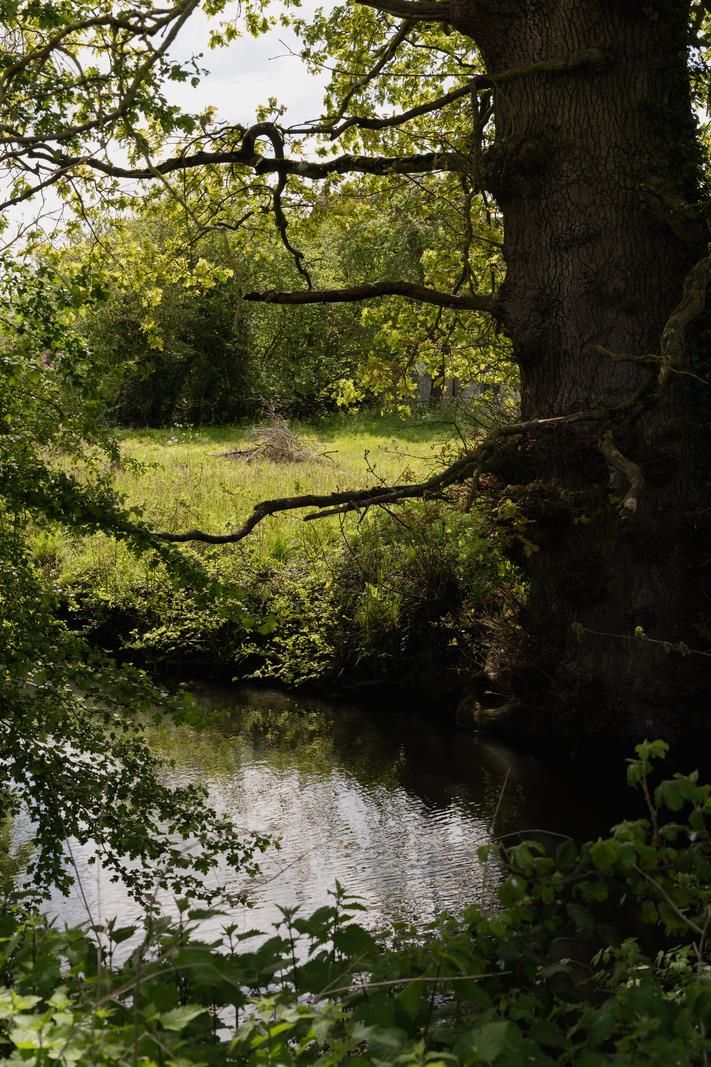 Holly Bush Farm - Image 5
